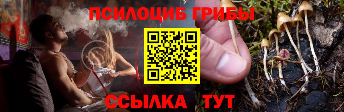 Псилоцибиновые грибы Psilocybe  магазин    Зеленодольск  Вход с VPN 